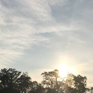 Meet your Posher, Cameron